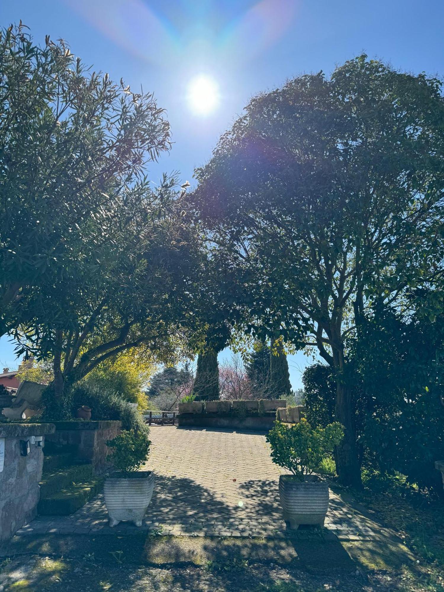 La Terrazza Su Roma Panzió Zagarolo Kültér fotó